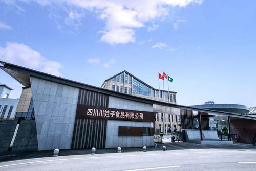 聚焦明星工廠 百位行業(yè)代表齊聚川娃子，共話食品智造新未來